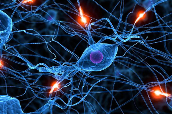 Hormone Specialist Western Sydney, Diabetes Treatment Maroubra, Thyroid Problems Randwick